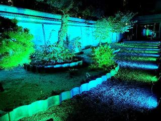 善導寺の参拝記録(風祭すぅさん)