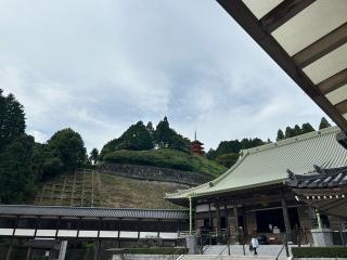 瀧光徳寺の参拝記録(あーゆさん)