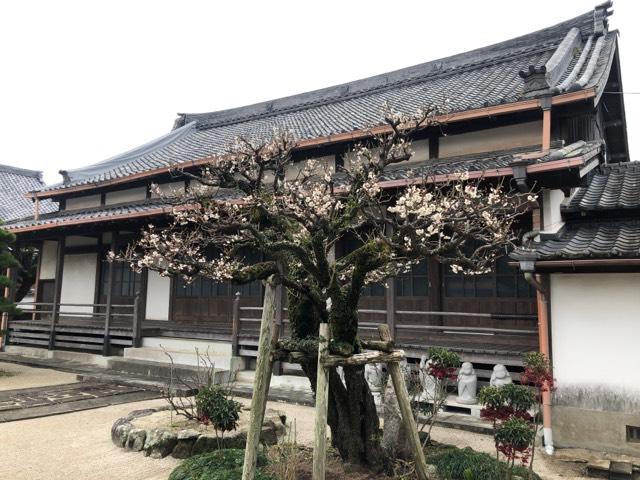 少林寺の参拝記録2