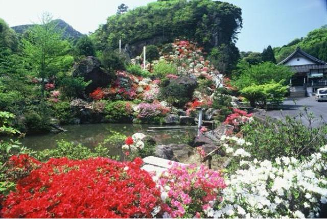 佐賀県唐津市北波多岸山447 法安寺の写真2