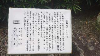 善福寺の参拝記録(としさんさん)