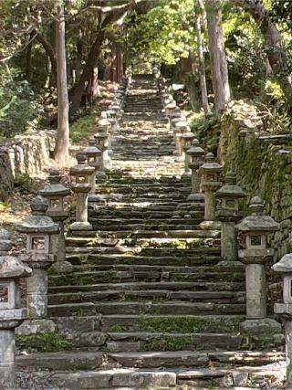 万松院の参拝記録(トミーさん)