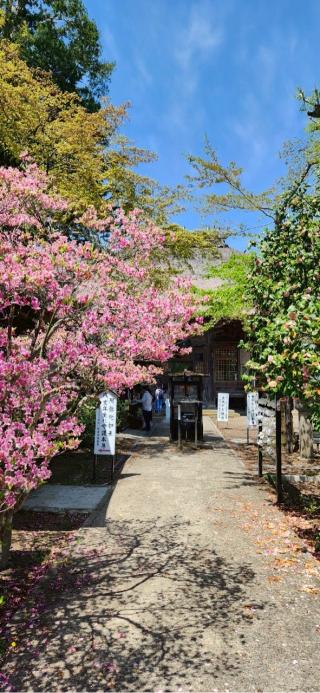 金塔山 恵隆寺の参拝記録(RUIさん)