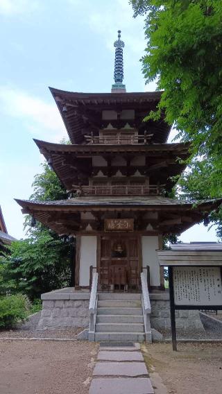 金塔山 恵隆寺の参拝記録(ひろ神社仏閣さん)