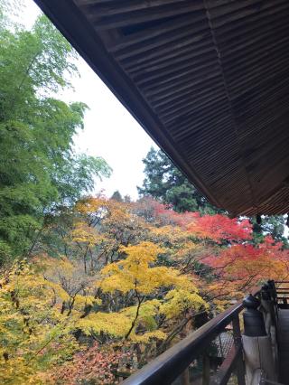 両子寺の参拝記録(かほすけさん)