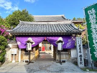 西来院（達磨寺）の参拝記録(忍さん)