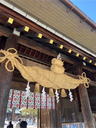 北海道神宮の参拝記録(⛩️🐉🐢まめ🐢🐉⛩️さん)