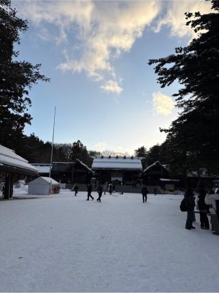 北海道神宮の参拝記録(⛩️🎠🐢まめ🐢🎠⛩️さん)