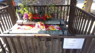 豊平神社の参拝記録(ゆみさん)