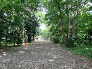 信濃神社の参拝記録(鷲ハリアーさん)