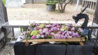 江南神社の参拝記録(ゆみさん)