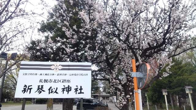 新琴似神社の参拝記録6
