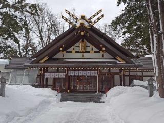 新琴似神社の参拝記録(はじめさん)