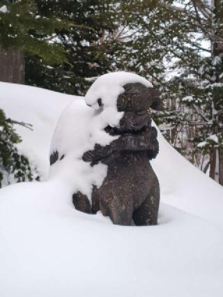 新琴似神社の参拝記録(はじめさん)