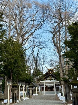 新琴似神社の参拝記録(たけちゃんさん)
