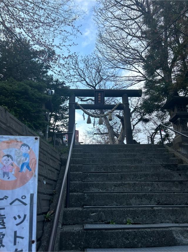 手稲神社の参拝記録(さっちゃんさん)