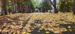 大谷地神社の参拝記録(みっちさん)