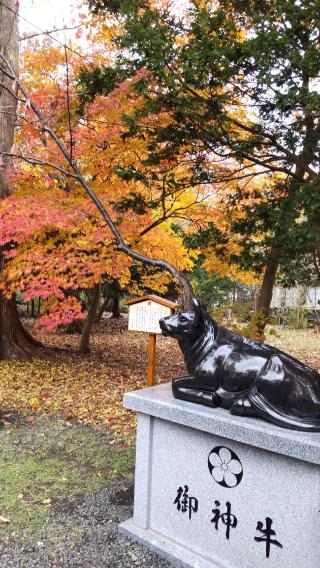 錦山天満宮の参拝記録(ゆみさん)