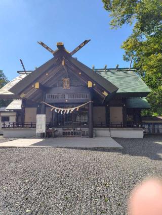 千歳神社の参拝記録(ぐっさんさん)