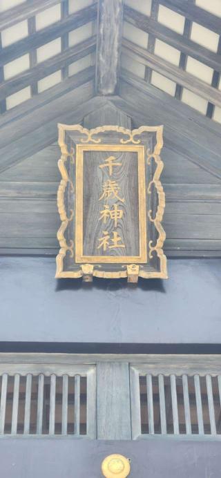 千歳神社の参拝記録(みっちさん)