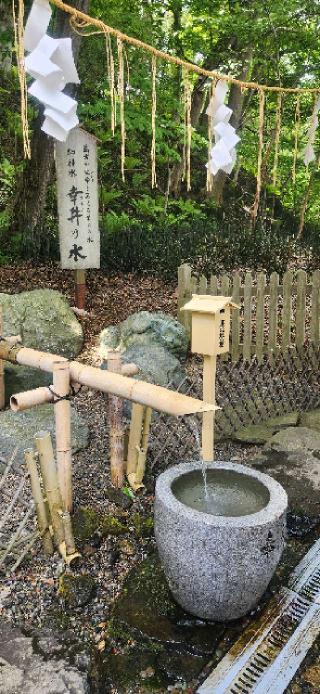 千歳神社の参拝記録(みっちさん)