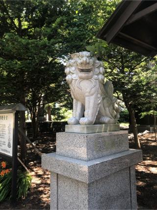 大麻神社の参拝記録(ともさん)