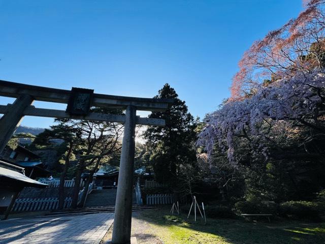函館八幡宮の参拝記録9