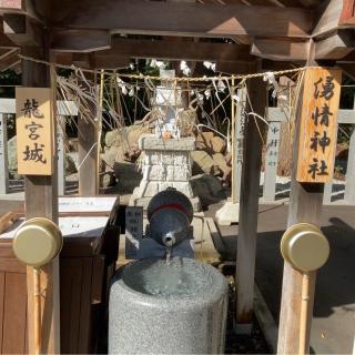 三嶋神社の参拝記録(ハトさん)