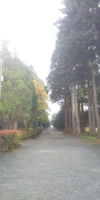 八雲神社の参拝記録(スムーズさん)