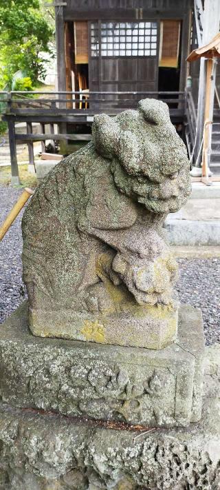 根崎神社の参拝記録(モスコットさん)