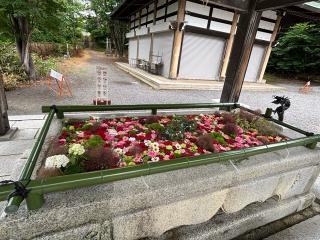 住吉神社(小樽住吉神社)の参拝記録(ゆうさん)
