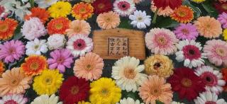 住吉神社(小樽住吉神社)の参拝記録(みっちさん)