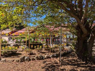 岩内神社の参拝記録(ぶぶさん)