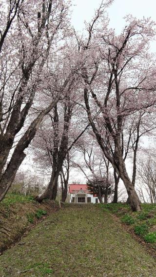 中ノ川神社の参拝記録(ひろちゃんさん)