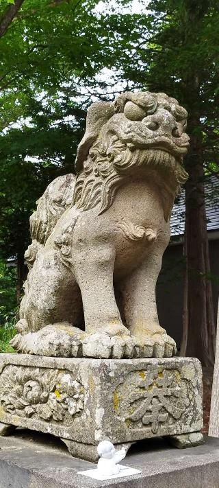 栗澤神社の参拝記録(モスコットさん)