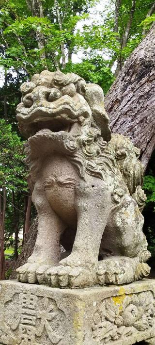 栗澤神社の参拝記録(モスコットさん)