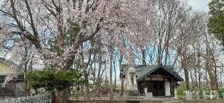 砂川神社の参拝記録(ゆみさん)