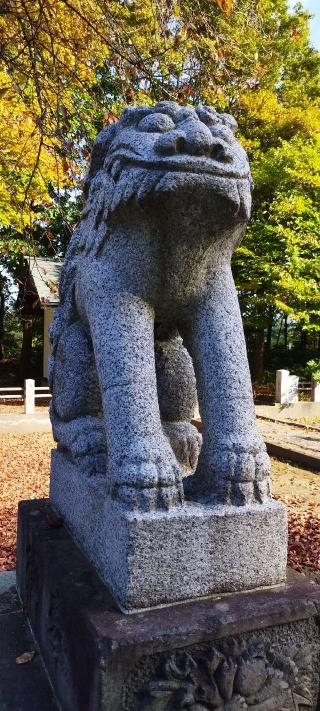 砂川神社の参拝記録(モスコットさん)