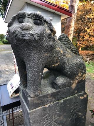 江部乙神社の参拝記録(オミさん)