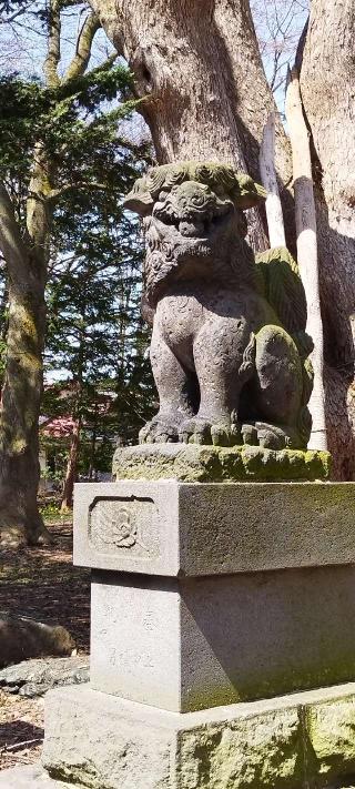 深川神社の参拝記録(モスコットさん)