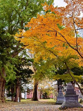 深川神社の参拝記録(たけちゃんさん)