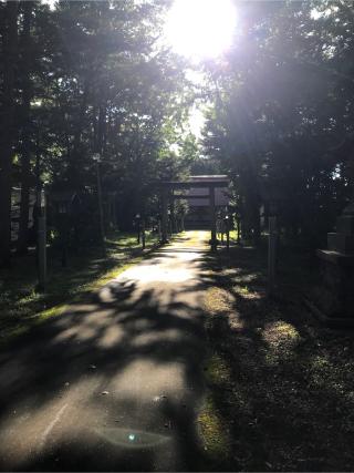 秩父神社の参拝記録(tetsuさん)