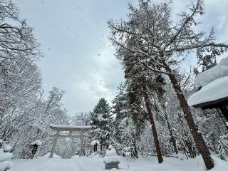 鷹栖神社の参拝記録(たけちゃんさん)