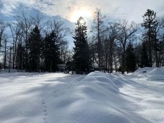 興国神社の参拝記録(鷲ハリアーさん)