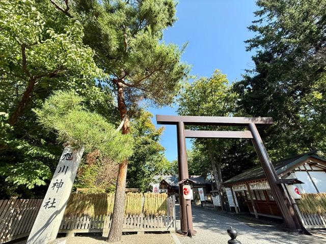 旭川神社の参拝記録9