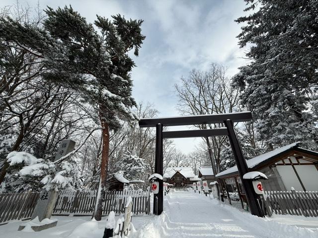 旭川神社の参拝記録10