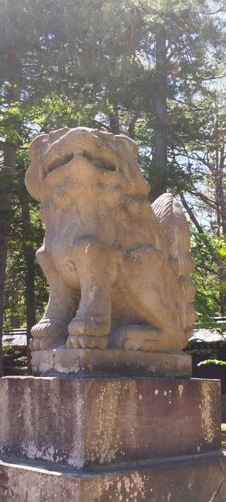 上川神社の参拝記録(モスコットさん)