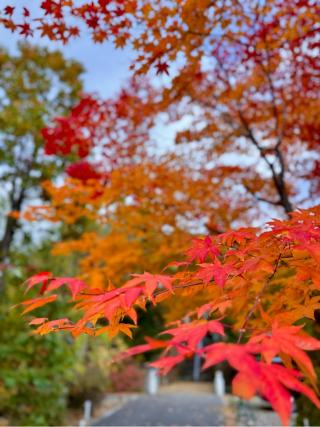 東神楽神社の参拝記録(たけちゃんさん)