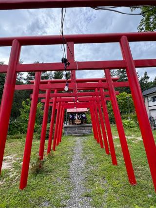 中富良野神社の参拝記録(さくらさん)