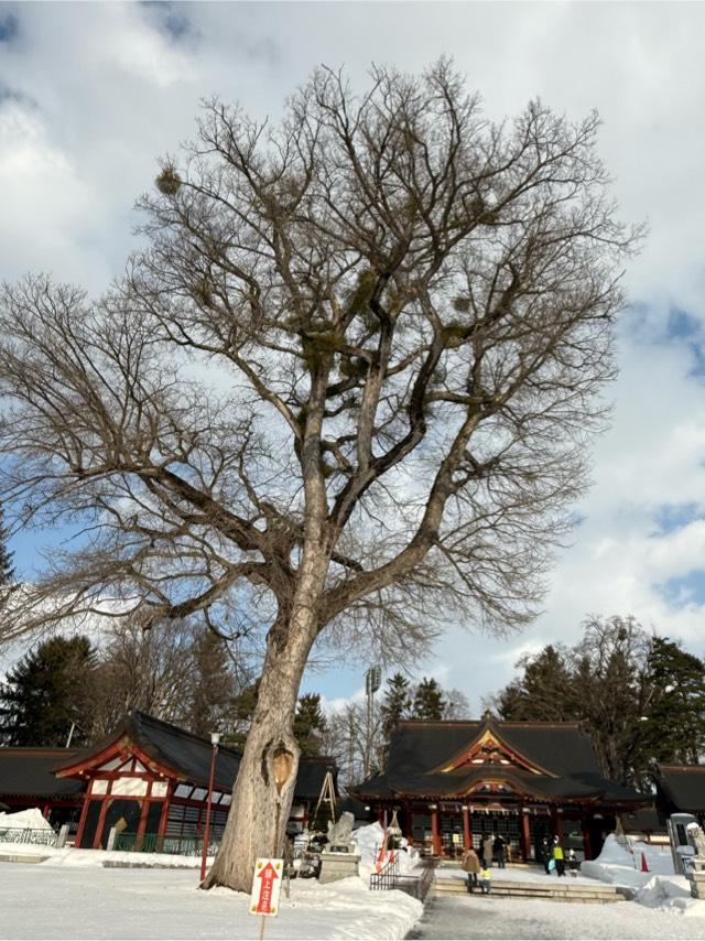 北海道護國神社の参拝記録9